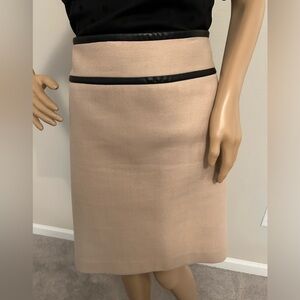 Ann Taylor pencil skirt